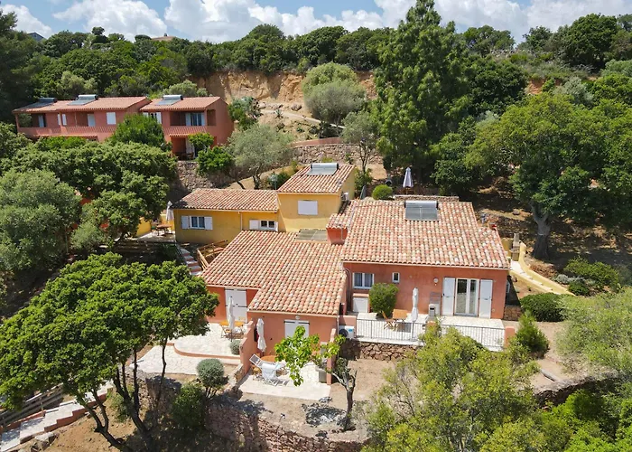 Apartahotel Royal Palm