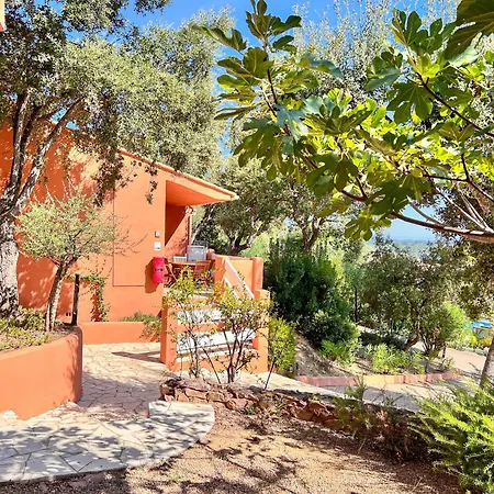 Royal Palm Porto-Vecchio (Corsica)