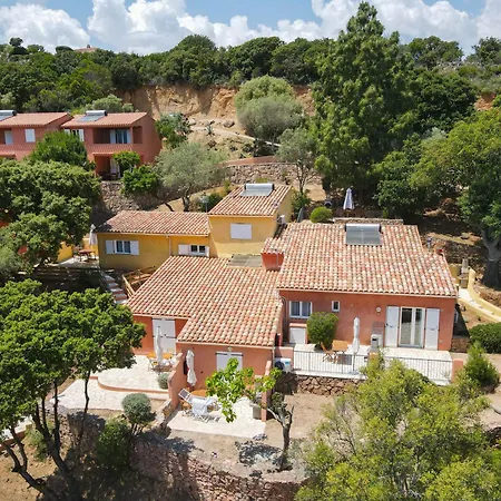 Hotel apartamentowy Royal Palm