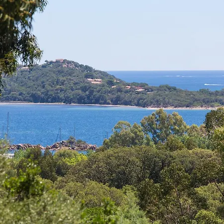 Royal Palm Апарт-отель