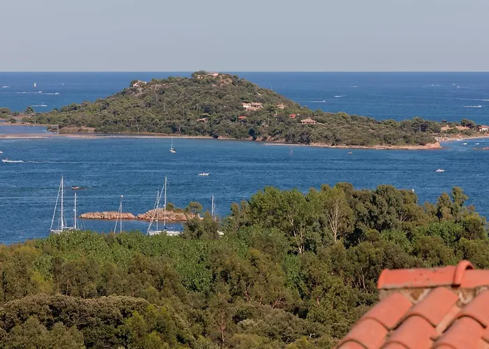 Royal Palm Porto-Vecchio