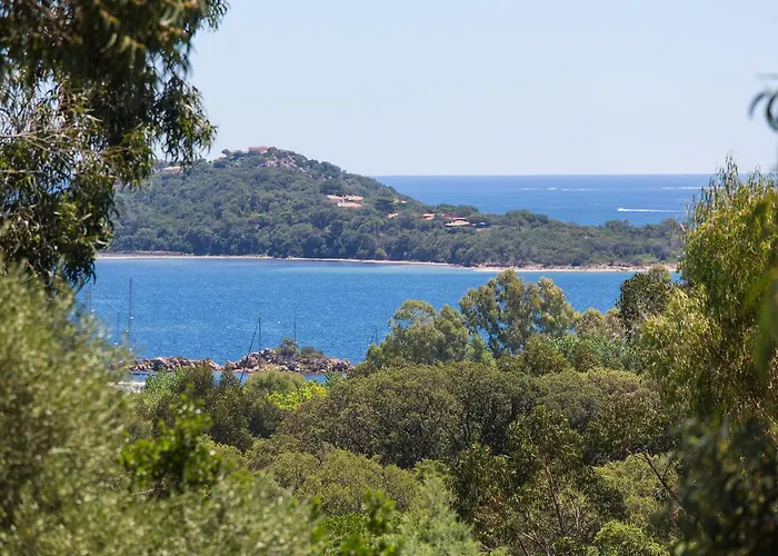 Royal Palm Apartmanhotel